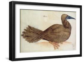 Bobo-John White-Framed Giclee Print