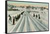 Bobsledding Competition-null-Framed Stretched Canvas