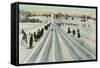 Bobsledding Competition-null-Framed Stretched Canvas