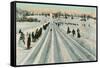 Bobsledding Competition-null-Framed Stretched Canvas