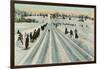 Bobsledding Competition-null-Framed Art Print