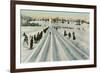 Bobsledding Competition-null-Framed Art Print