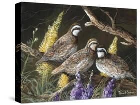 Bobwhite Trio 1-Trevor V. Swanson-Stretched Canvas