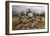 Bobwhite Trio 2-Trevor V. Swanson-Framed Giclee Print