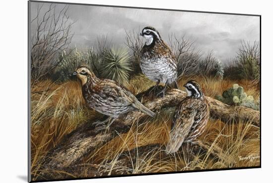 Bobwhite Trio 2-Trevor V. Swanson-Mounted Giclee Print