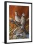 Bobwhite Trio 4-Trevor V. Swanson-Framed Giclee Print