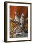 Bobwhite Trio 4-Trevor V. Swanson-Framed Premium Giclee Print