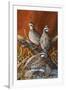 Bobwhite Trio 4-Trevor V. Swanson-Framed Giclee Print