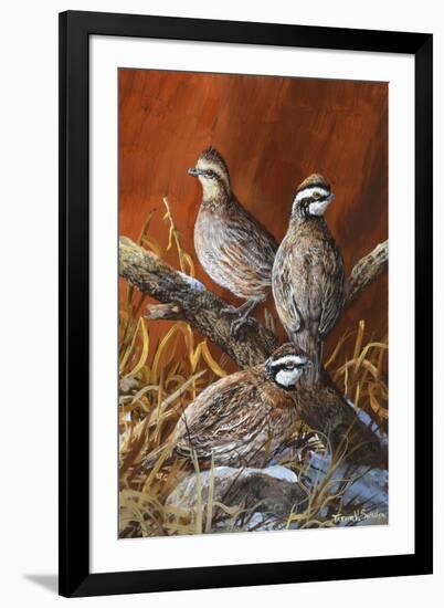 Bobwhite Trio 4-Trevor V. Swanson-Framed Giclee Print