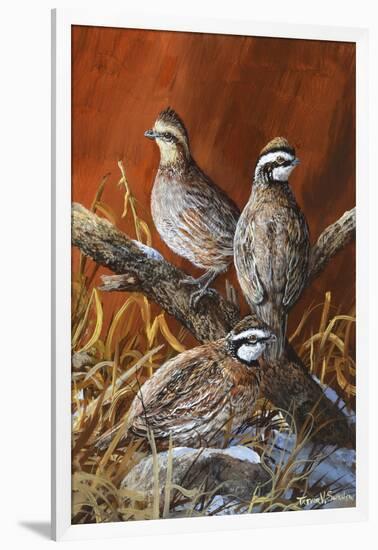 Bobwhite Trio 4-Trevor V. Swanson-Framed Giclee Print