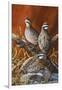 Bobwhite Trio 4-Trevor V. Swanson-Framed Giclee Print