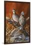 Bobwhite Trio 4-Trevor V. Swanson-Framed Giclee Print