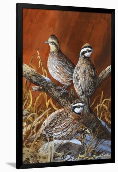 Bobwhite Trio 4-Trevor V. Swanson-Framed Giclee Print