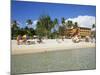 Boca Chica, Dominican Republic, West Indies, Central America-Lightfoot Jeremy-Mounted Photographic Print