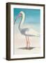 Boca Ibis-Kathleen Broaderick-Framed Art Print