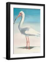 Boca Ibis-Kathleen Broaderick-Framed Art Print