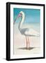 Boca Ibis-Kathleen Broaderick-Framed Art Print