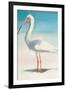 Boca Ibis-Kathleen Broaderick-Framed Art Print