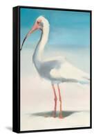 Boca Ibis-Kathleen Broaderick-Framed Stretched Canvas