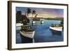 Boca Raton, Florida - Deep Sea Fishing Fleet Scene-Lantern Press-Framed Art Print