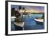 Boca Raton, Florida - Deep Sea Fishing Fleet Scene-Lantern Press-Framed Art Print