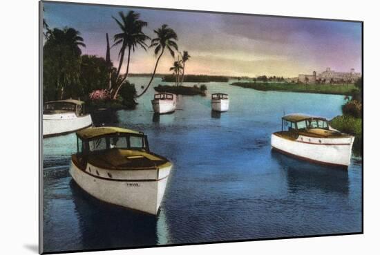 Boca Raton, Florida - Deep Sea Fishing Fleet Scene-Lantern Press-Mounted Art Print