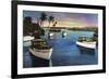 Boca Raton, Florida - Deep Sea Fishing Fleet Scene-Lantern Press-Framed Premium Giclee Print