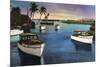 Boca Raton, Florida - Deep Sea Fishing Fleet Scene-Lantern Press-Mounted Premium Giclee Print