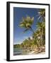 Bocas Del Drago, Isla Colon, Bocas Del Toro, Panama, Central America-null-Framed Photographic Print