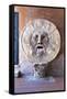 Bocca Della Verita, Santa Maria in Cosmedin, Rome, Lazio, Italy, Europe-Peter-Framed Stretched Canvas