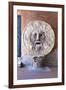 Bocca Della Verita, Santa Maria in Cosmedin, Rome, Lazio, Italy, Europe-Peter-Framed Photographic Print