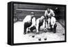 Bocce Balls, Philadelphia, Pennsylvania-null-Framed Stretched Canvas