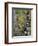 Bode in autumn, Harz National Park, Saxony-Anhalt, Germany-Michael Jaeschke-Framed Photographic Print