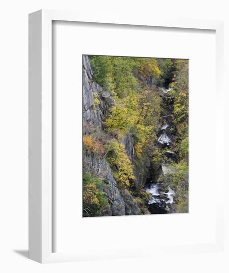 Bode in autumn, Harz National Park, Saxony-Anhalt, Germany-Michael Jaeschke-Framed Photographic Print