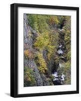 Bode in autumn, Harz National Park, Saxony-Anhalt, Germany-Michael Jaeschke-Framed Photographic Print