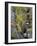 Bode in autumn, Harz National Park, Saxony-Anhalt, Germany-Michael Jaeschke-Framed Photographic Print