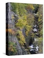 Bode in autumn, Harz National Park, Saxony-Anhalt, Germany-Michael Jaeschke-Stretched Canvas