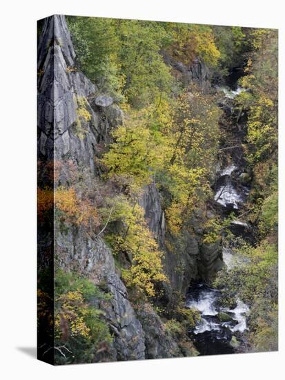 Bode in autumn, Harz National Park, Saxony-Anhalt, Germany-Michael Jaeschke-Stretched Canvas