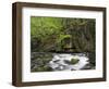 Bode in the spring, Harz National Park, Saxony-Anhalt, Germany-Michael Jaeschke-Framed Photographic Print