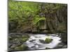 Bode in the spring, Harz National Park, Saxony-Anhalt, Germany-Michael Jaeschke-Mounted Photographic Print
