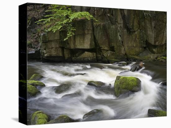 Bode in the spring, Harz National Park, Saxony-Anhalt, Germany-Michael Jaeschke-Stretched Canvas