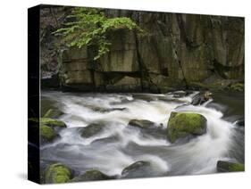 Bode in the spring, Harz National Park, Saxony-Anhalt, Germany-Michael Jaeschke-Stretched Canvas