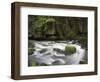 Bode in the spring, Harz National Park, Saxony-Anhalt, Germany-Michael Jaeschke-Framed Photographic Print