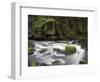 Bode in the spring, Harz National Park, Saxony-Anhalt, Germany-Michael Jaeschke-Framed Photographic Print