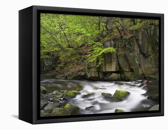 Bode in the spring, Harz National Park, Saxony-Anhalt, Germany-Michael Jaeschke-Framed Stretched Canvas