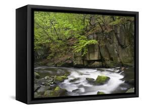 Bode in the spring, Harz National Park, Saxony-Anhalt, Germany-Michael Jaeschke-Framed Stretched Canvas