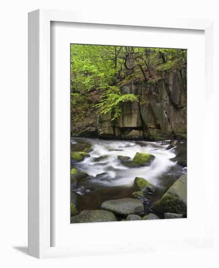 Bode in the spring, Harz National Park, Saxony-Anhalt, Germany-Michael Jaeschke-Framed Photographic Print