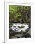 Bode in the spring, Harz National Park, Saxony-Anhalt, Germany-Michael Jaeschke-Framed Photographic Print