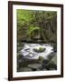 Bode in the spring, Harz National Park, Saxony-Anhalt, Germany-Michael Jaeschke-Framed Photographic Print