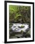 Bode in the spring, Harz National Park, Saxony-Anhalt, Germany-Michael Jaeschke-Framed Photographic Print